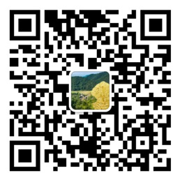 大发购彩大厅进入